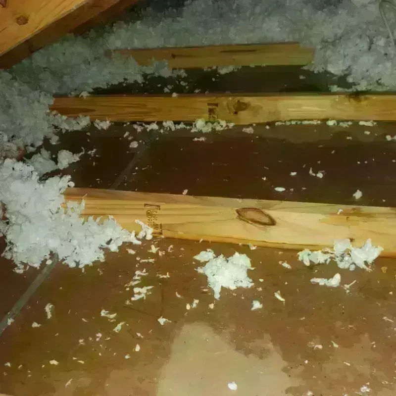 Attic Water Damage in New Concord, OH