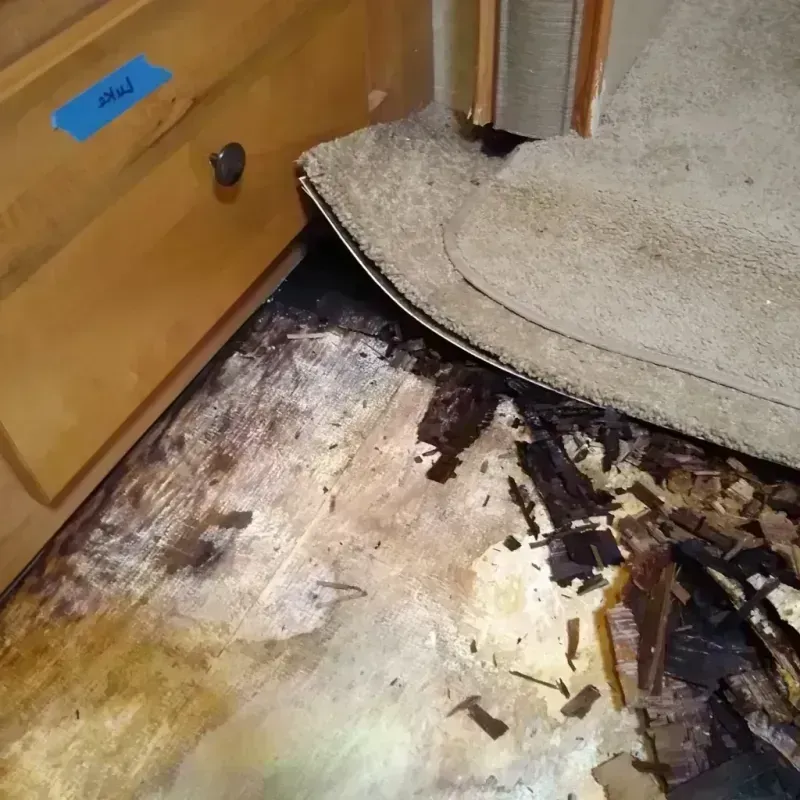 Wood Floor Water Damage in New Concord, OH